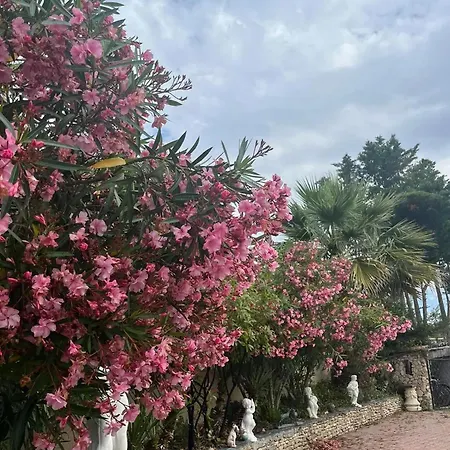 Prázdninový dům Maison Charmante A Avec Grand Jardin Et Terrasse Marseillan (Herault)