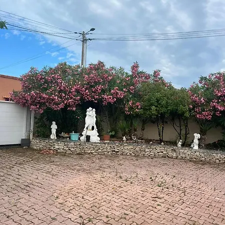 Prázdninový dům Maison Charmante A Avec Grand Jardin Et Terrasse Marseillan (Herault)
