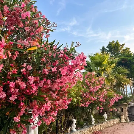 בית נופש Maison Charmante A Avec Grand Jardin Et Terrasse