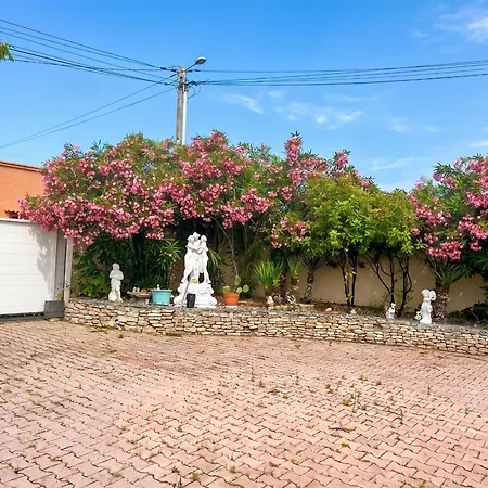 Maison Charmante A Avec Grand Jardin Et Terrasse Prázdninový dům Marseillan (Herault)