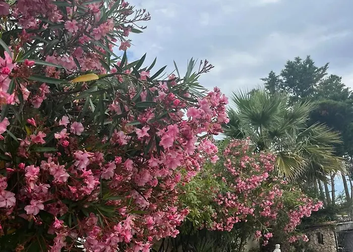 Casa de Férias Maison Charmante à Avec Grand Jardin Et Terrasse Marseillan (Herault)
